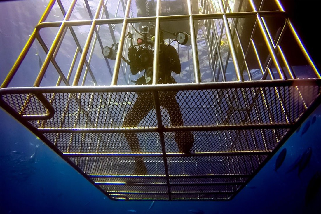 Underwater photography 5
