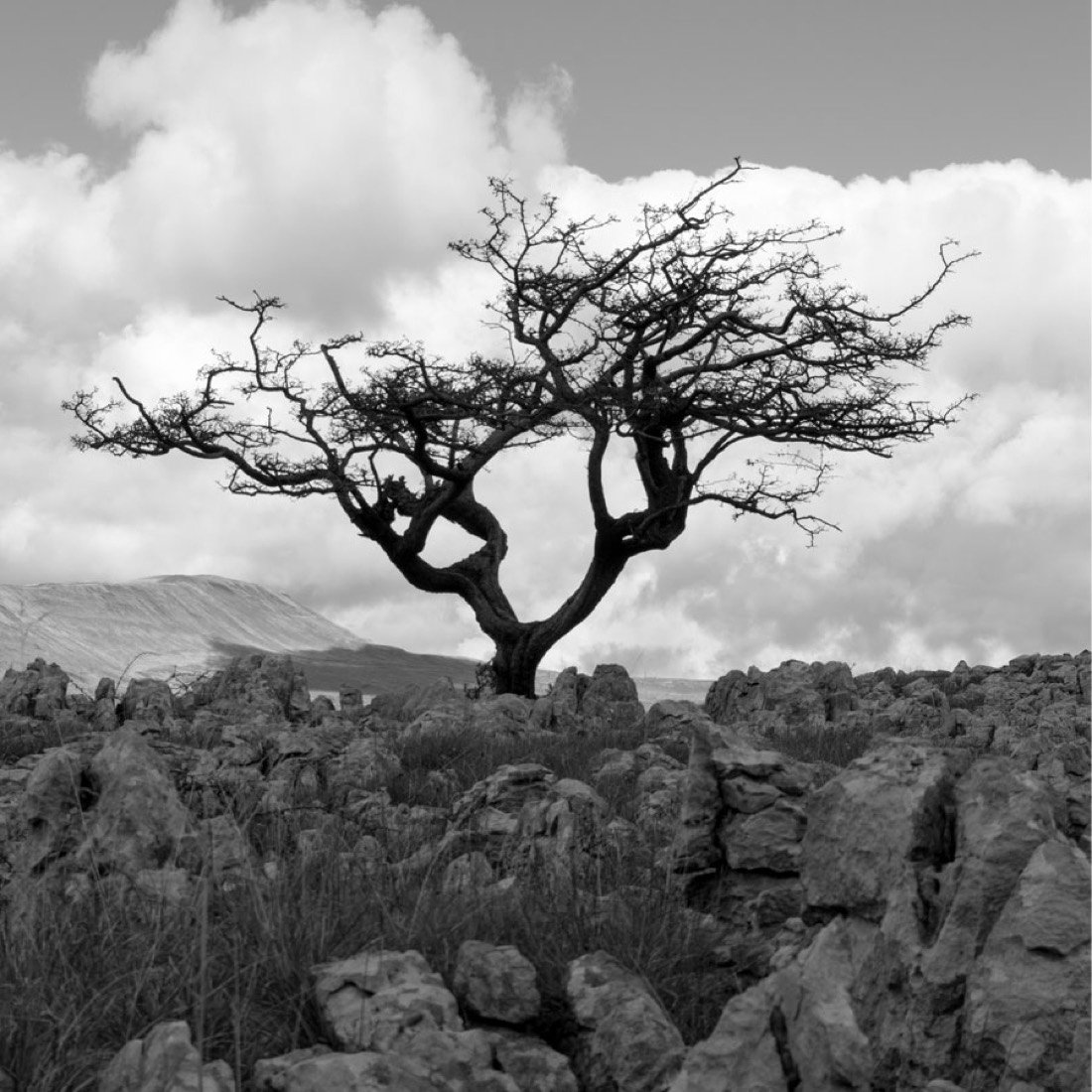 Landscape photography 9