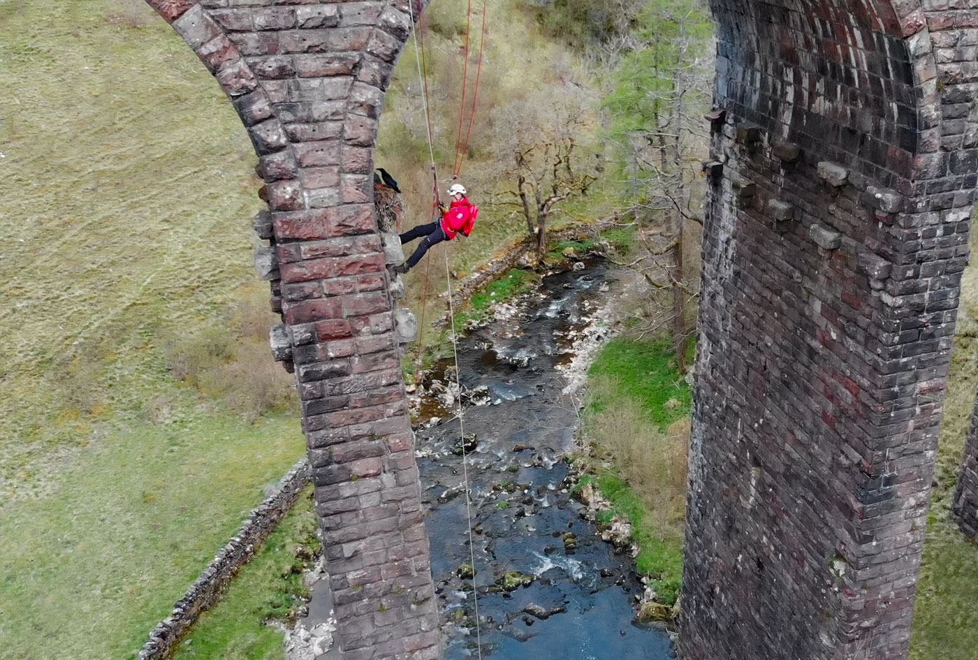 Raven rescue smardale viaduct